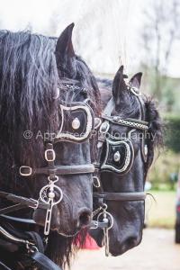 Appletree Photography - Kirsty & Charlie-151