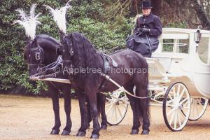 Appletree Photography - Kirsty & Charlie-160